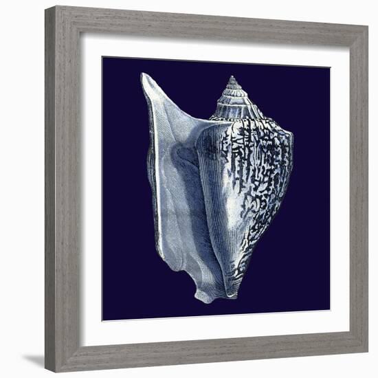 Indigo Shells I-Vision Studio-Framed Art Print