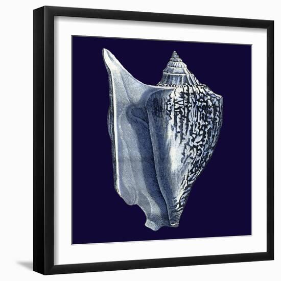 Indigo Shells I-Vision Studio-Framed Art Print