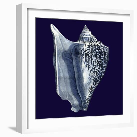 Indigo Shells I-Vision Studio-Framed Art Print