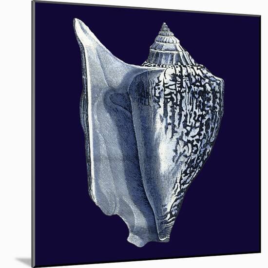 Indigo Shells I-Vision Studio-Mounted Art Print