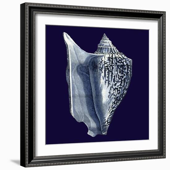 Indigo Shells I-Vision Studio-Framed Art Print