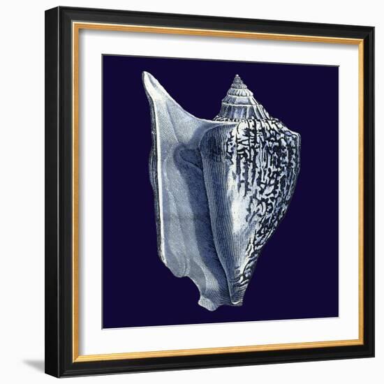 Indigo Shells I-Vision Studio-Framed Art Print