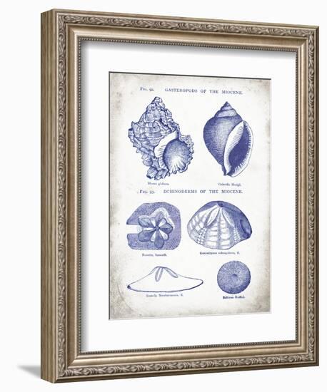 Indigo Shells I-Gwendolyn Babbitt-Framed Art Print