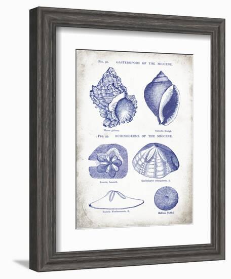 Indigo Shells I-Gwendolyn Babbitt-Framed Art Print