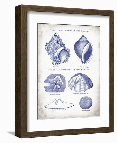 Indigo Shells I-Gwendolyn Babbitt-Framed Art Print