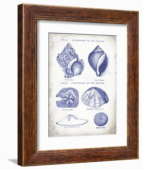 Indigo Shells I-Gwendolyn Babbitt-Framed Art Print