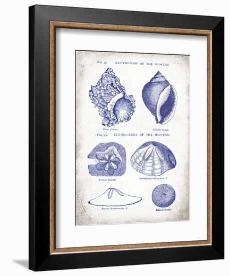 Indigo Shells I-Gwendolyn Babbitt-Framed Art Print