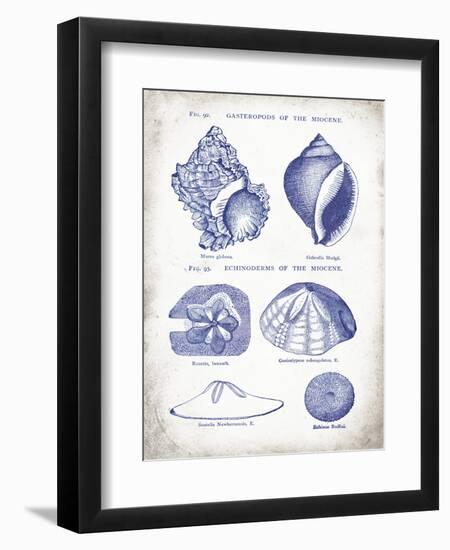 Indigo Shells I-Gwendolyn Babbitt-Framed Art Print