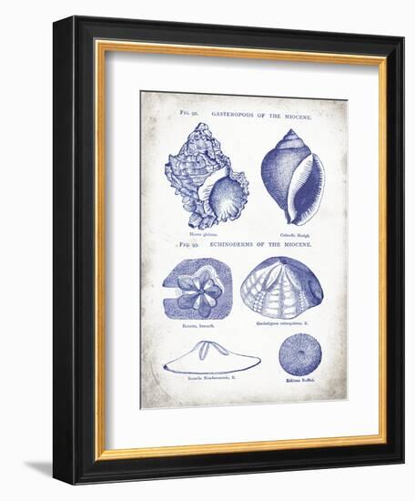 Indigo Shells I-Gwendolyn Babbitt-Framed Art Print