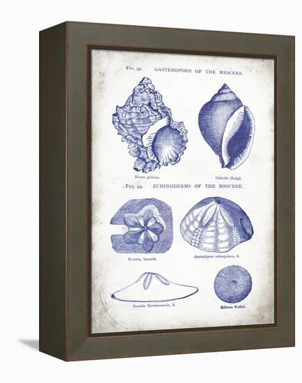 Indigo Shells I-Gwendolyn Babbitt-Framed Stretched Canvas