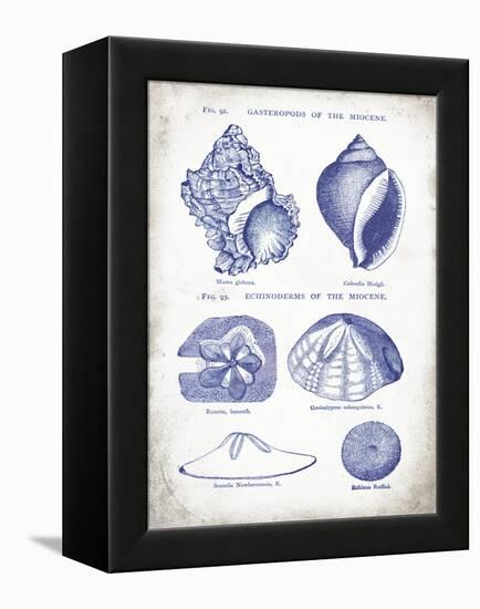 Indigo Shells I-Gwendolyn Babbitt-Framed Stretched Canvas