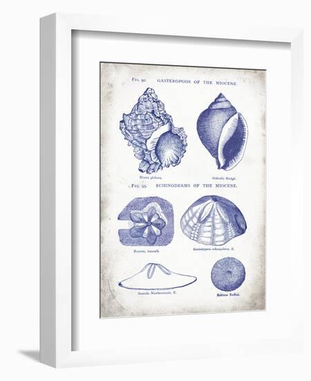 Indigo Shells I-Gwendolyn Babbitt-Framed Premium Giclee Print