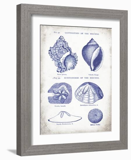 Indigo Shells I-Gwendolyn Babbitt-Framed Art Print