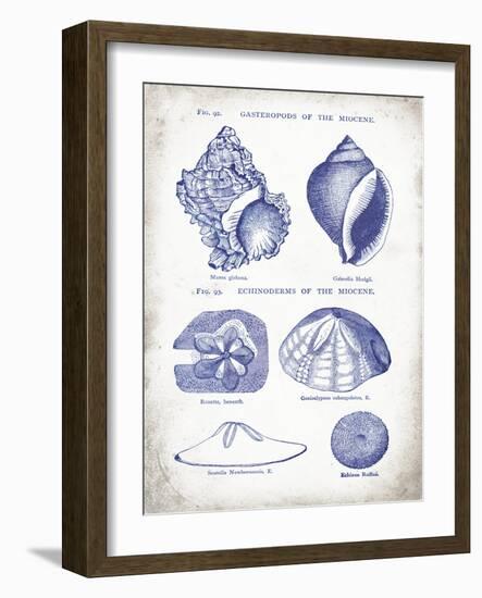 Indigo Shells I-Gwendolyn Babbitt-Framed Art Print