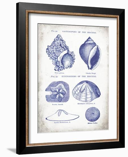 Indigo Shells I-Gwendolyn Babbitt-Framed Art Print