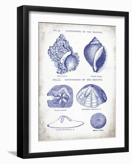 Indigo Shells I-Gwendolyn Babbitt-Framed Art Print