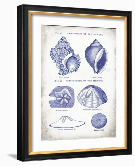 Indigo Shells I-Gwendolyn Babbitt-Framed Art Print