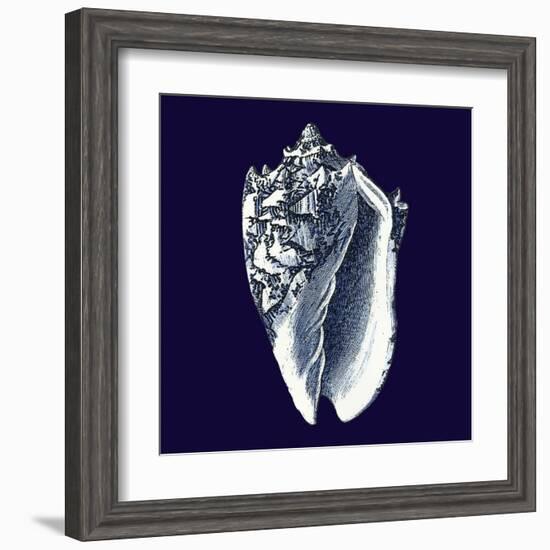 Indigo Shells II-Vision Studio-Framed Art Print