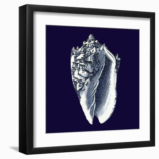 Indigo Shells II-Vision Studio-Framed Art Print