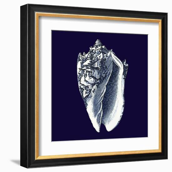 Indigo Shells II-Vision Studio-Framed Art Print