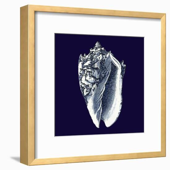Indigo Shells II-Vision Studio-Framed Art Print