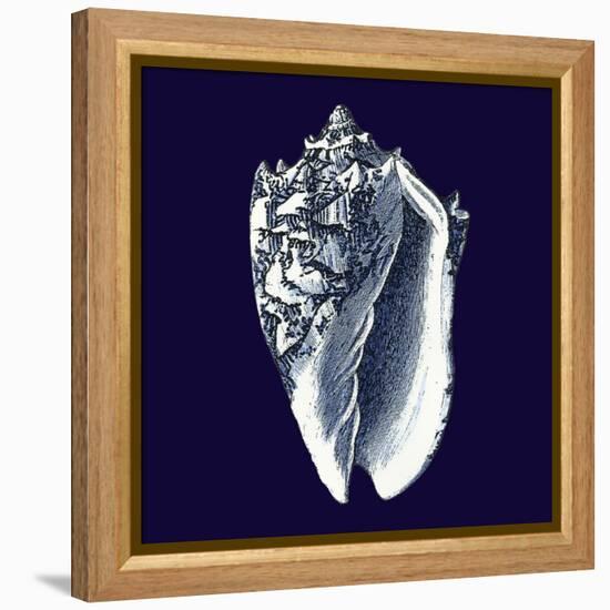 Indigo Shells II-Vision Studio-Framed Stretched Canvas