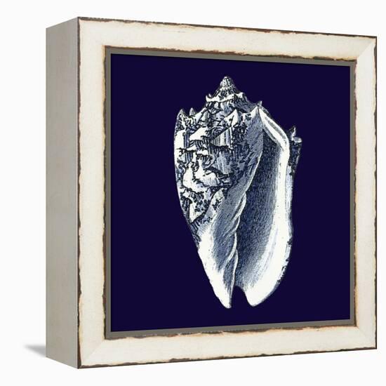 Indigo Shells II-Vision Studio-Framed Stretched Canvas