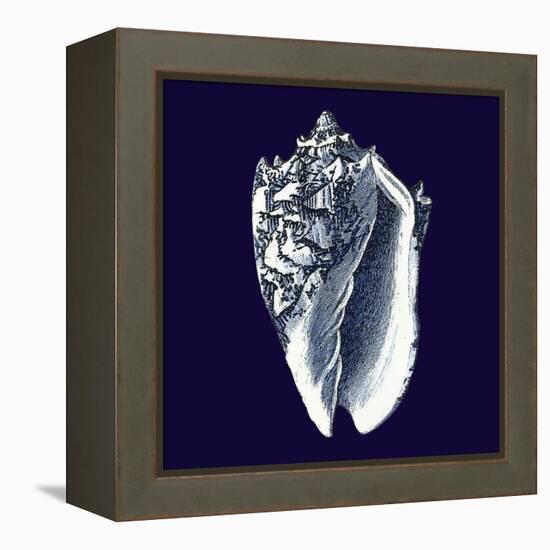 Indigo Shells II-Vision Studio-Framed Stretched Canvas