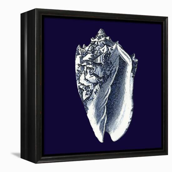 Indigo Shells II-Vision Studio-Framed Stretched Canvas