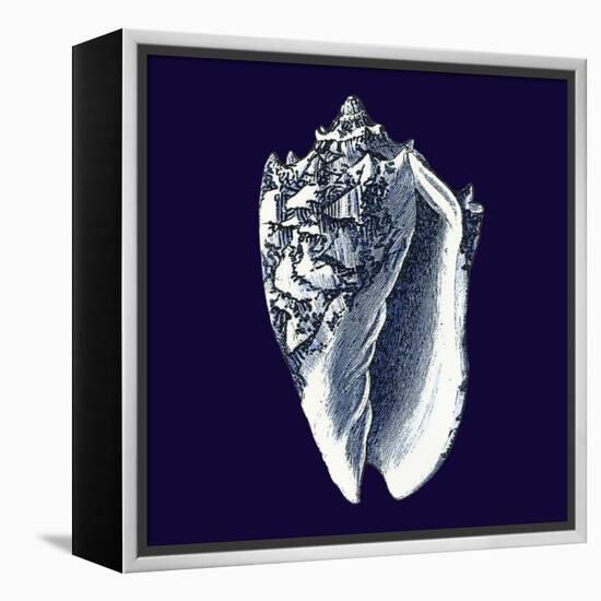 Indigo Shells II-Vision Studio-Framed Stretched Canvas