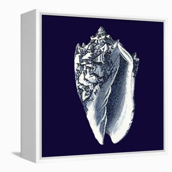 Indigo Shells II-Vision Studio-Framed Stretched Canvas