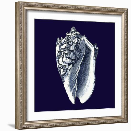 Indigo Shells II-Vision Studio-Framed Premium Giclee Print