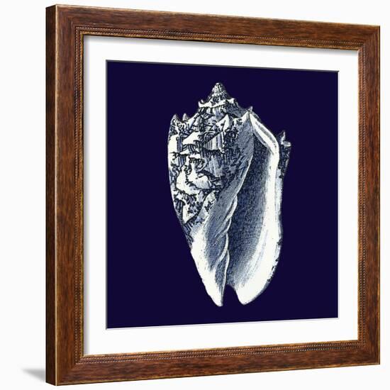 Indigo Shells II-Vision Studio-Framed Premium Giclee Print