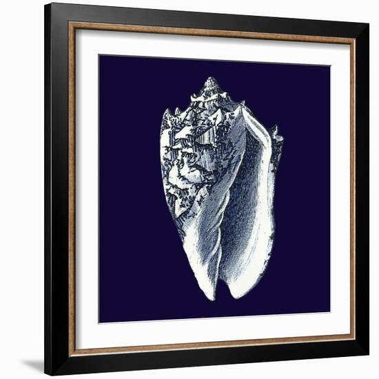 Indigo Shells II-Vision Studio-Framed Premium Giclee Print