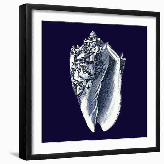 Indigo Shells II-Vision Studio-Framed Premium Giclee Print