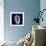 Indigo Shells II-Vision Studio-Framed Premium Giclee Print displayed on a wall