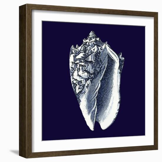 Indigo Shells II-Vision Studio-Framed Art Print