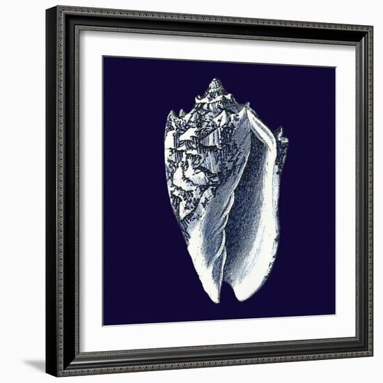 Indigo Shells II-Vision Studio-Framed Art Print