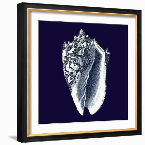 Indigo Shells II-Vision Studio-Framed Art Print