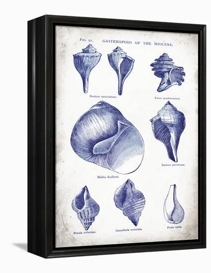 Indigo Shells II-Gwendolyn Babbitt-Framed Stretched Canvas