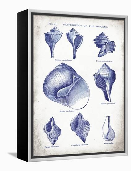 Indigo Shells II-Gwendolyn Babbitt-Framed Stretched Canvas