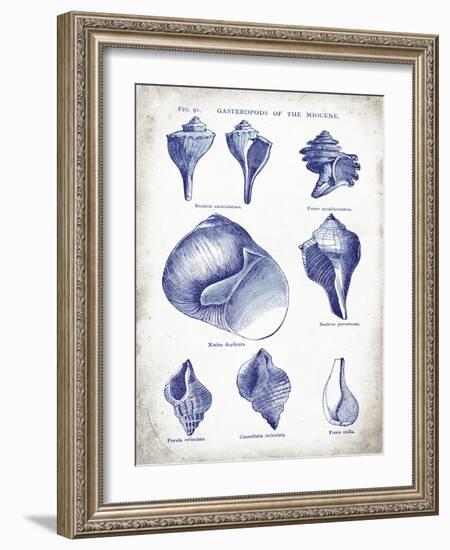 Indigo Shells II-Gwendolyn Babbitt-Framed Art Print