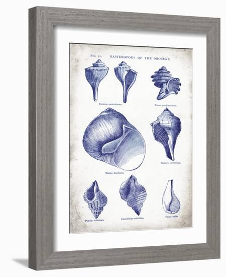 Indigo Shells II-Gwendolyn Babbitt-Framed Art Print