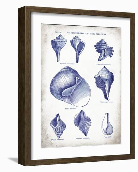 Indigo Shells II-Gwendolyn Babbitt-Framed Art Print