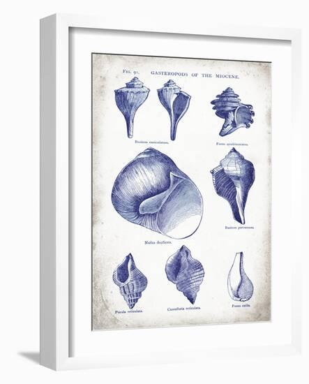 Indigo Shells II-Gwendolyn Babbitt-Framed Art Print