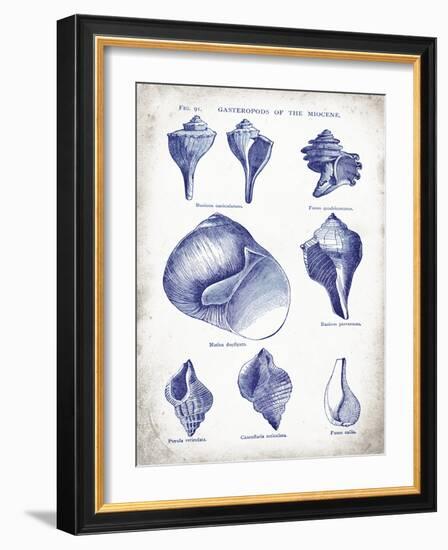 Indigo Shells II-Gwendolyn Babbitt-Framed Art Print