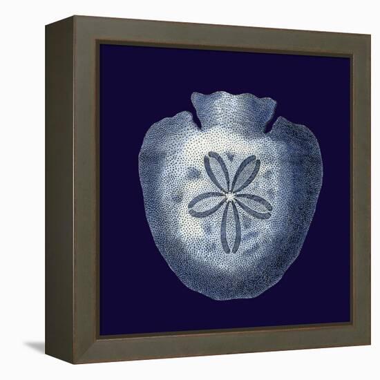 Indigo Shells III-Vision Studio-Framed Stretched Canvas