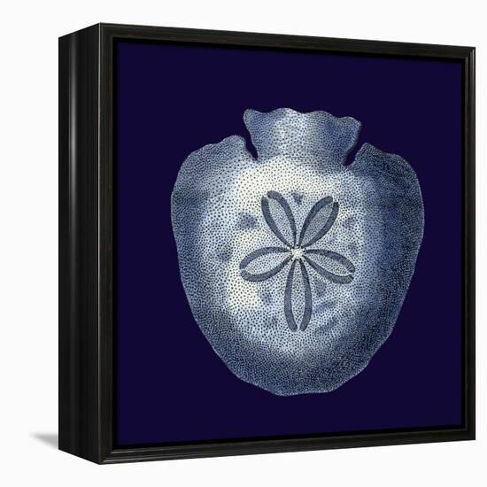 Indigo Shells III-Vision Studio-Framed Stretched Canvas