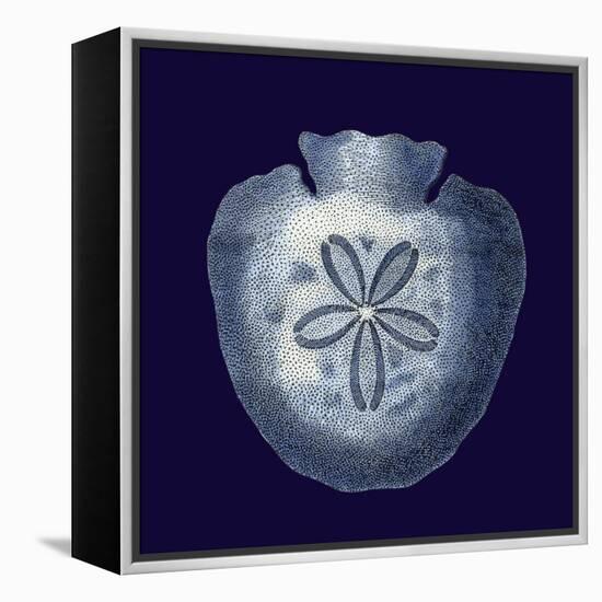 Indigo Shells III-Vision Studio-Framed Stretched Canvas