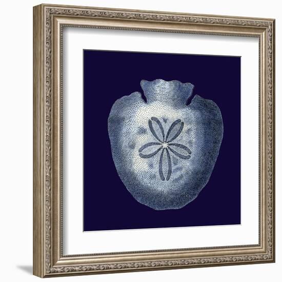 Indigo Shells III-Vision Studio-Framed Art Print